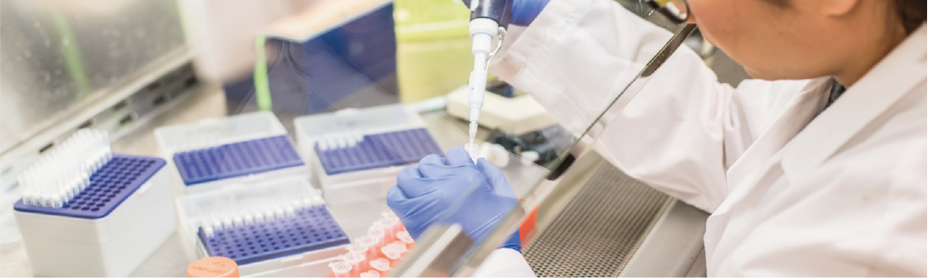 Sessaggio molecolare uccelli